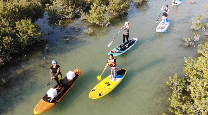 Discover Stand-up Paddle Boarding - Overview